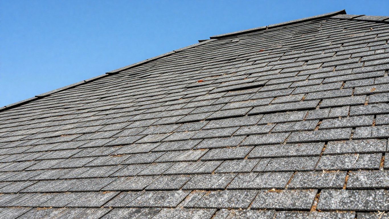 Dacula Georgia shingle roof repair close-up